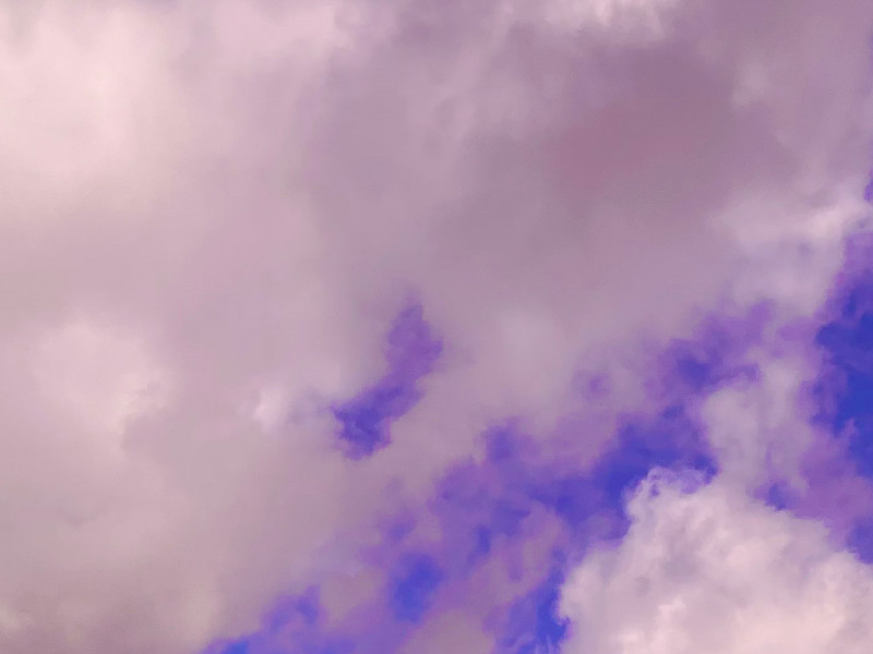 Die Sprache der Farben